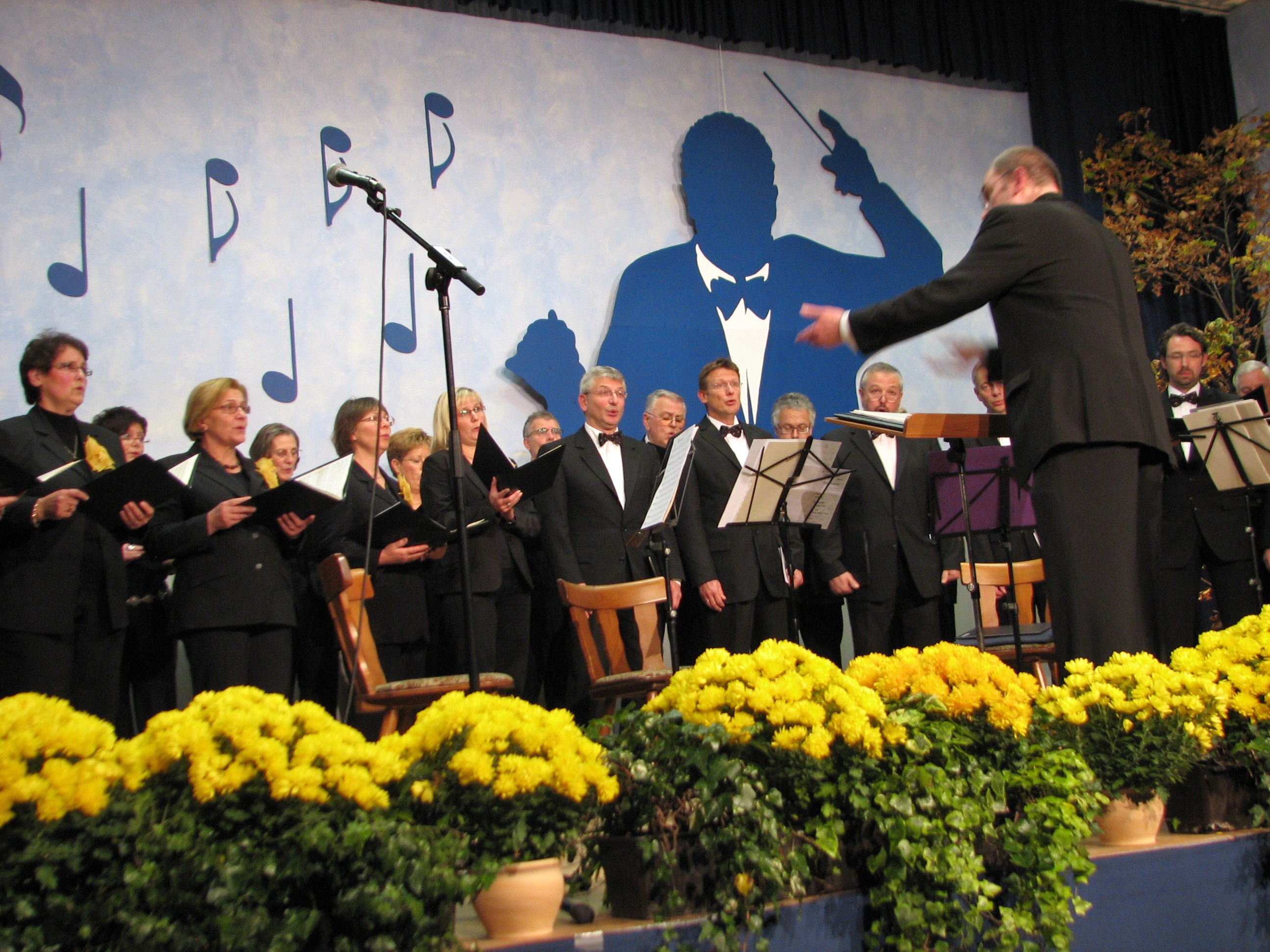 Konzert 2008 STB_9531